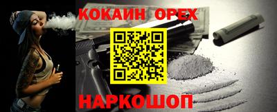 крисы Кулебаки