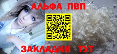 крисы Кулебаки