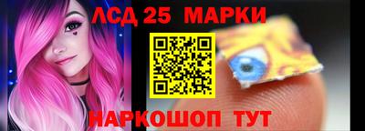 крисы Кулебаки
