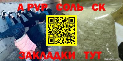 крисы Кулебаки