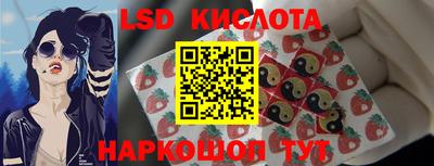 крисы Кулебаки