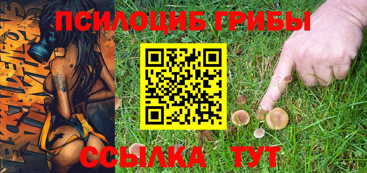 Галлюциногенные грибы мухоморы Звенигород