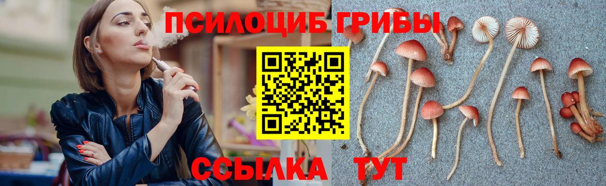 Звенигород  Галлюциногенные грибы Magic Shrooms  Вход с VPN 
